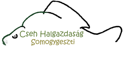 logo1.gif